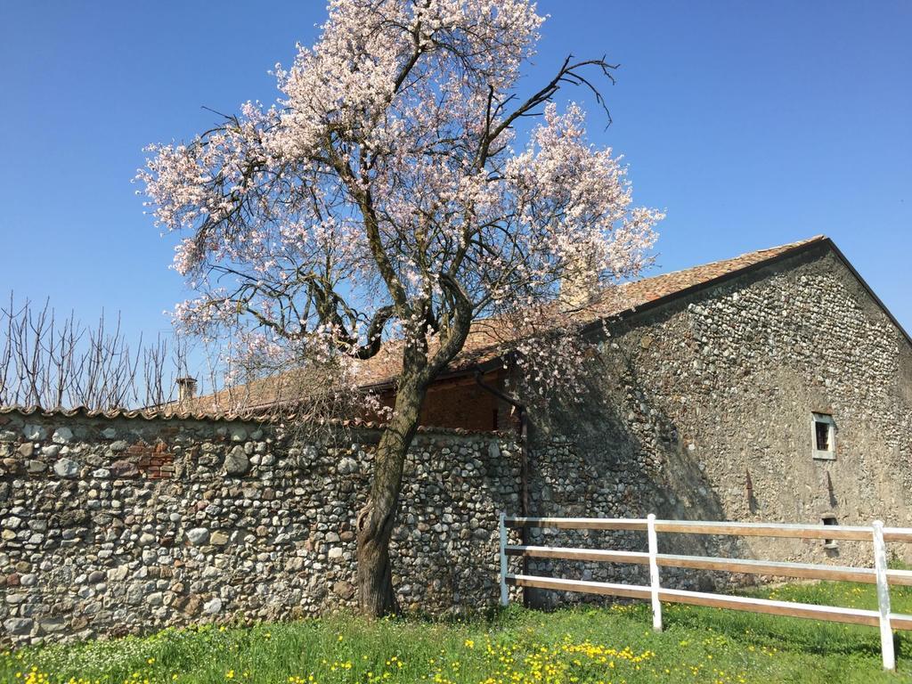 Antico Cascinale Lombardo Bed & Breakfast Lonato Exterior foto